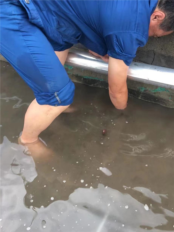 微信图片_20220811092105 微信图片_20220811092105